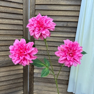 YOPIN-2844 Champagne 3 Têtes de Dahlias Géants Artificiels en Soie pour Décoration Florale Maison et Mariage - Product Image 5