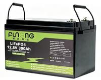 Prix d'usine Batterie au lithium LiFePO4 100Ah 150Ah 200Ah Batterie MUST BATTERY 48V