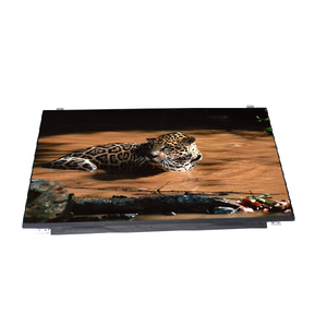 B156HAN01.0 WLED 15.000 Saat 15.6 İnç 1920(RGB)*1080 FHD 141PPI Dizüstü Bilgisayarlar İçin Düşük Fiyatlı LCD Ekran - Product Image 1