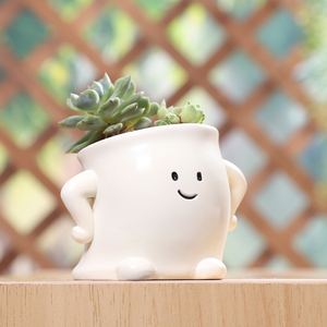 Semplicità moderna Mini vasi di piante succulente in vaso quattro emozioni fiori Potter per ufficio scrivania centro commerciale per il giardino di casa - Product Image 3
