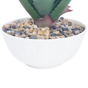 Faux mini plantas suculentas artificiales en maceta cactus falso aloe <span class=keywords><strong>vera</strong></span> Crassulaceae suculentas para jardín boda decoración del hogar Mesa - Product Image 5