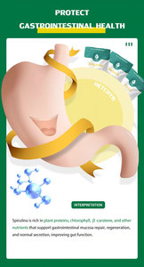 Fonte di fabbrica per uso alimentare microalghe additivo alimentare 60% naturale Base vegetale proteine in polvere di alghe verdi Spirulina organica in polvere - Product Image 5