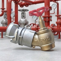 Robinet de raccordement en laiton PN16 pour hydrant d'incendie, pour système d'alimentation en eau incendie, DN45
