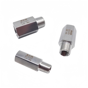 Thép Không Gỉ 304/316 1/8 "1/4" 3/8 "1/2" 3/4 "Bsp Nam Nữ Chủ Đề Hướng Dẫn Sử Dụng Kiểm Tra Van Cho Nước Dầu Khí Không Trở Lại Một Cách - Product Image 4