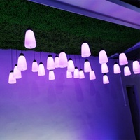360 degrés DC24V 18 pièces SMD5050 RGB UCS2903 SPI Pixel Programmable Smart Multi couleur 3D LED forêt vacances décoratif Pixel lumière