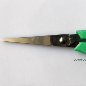 Tijeras con mango de plástico, desechables y esterilizadas, con puntas puntiagudas y redondeadas, fabricadas en una sala limpia de nivel 100.000 (UE) - Product Image 1