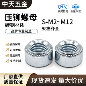Tuercas de presión ZT M3-M10, métricas, grado A, nivel 8.8, acero al carbono, zincadas en azul, para chasis de chapa metálica - Product Image 5