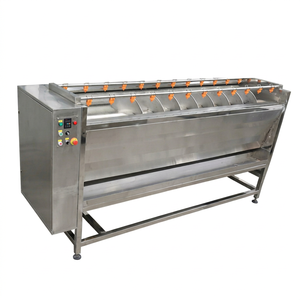 Commercial Manufatcurers Ginger and Garlic Peeling Machine Ginger Washing Plant Ginger Washer and Peeler Machine - Product Image 1