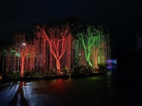 Arbre lumineux Avatar coloré et scintillant, cascade de lumières LED à fibres optiques, contrôle par télécommande/DMX512/application, étanche IP68