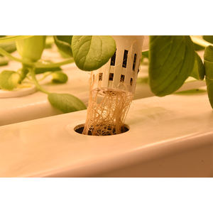 NFT Hydroponiocシステム3/4/5層、葉物野菜用3/4/6パイプ - Product Image 3