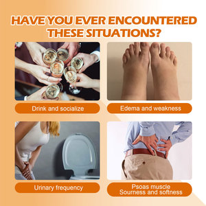 Parche Herbal de Limpieza Profunda South Moon para Adultos, Alivia Diversos Dolores, Elimina la Rigidez, Repara la Piel Dañada - Product Image 3