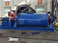 Broyeur à billes à roulement à trunnion 2400*8000 21TPH pour le traitement des minerais d'or, de cuivre et de fer