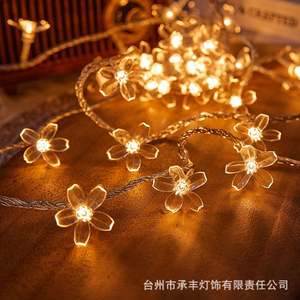 Guirlande lumineuse LED colorée à piles IP67 DC 12V pour extérieur, camping, ambiance de Noël, décoration de stand, clignotante - Product Image 2