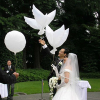 Ballon en feuille d'aluminium blanc en forme de pigeon, nouveau design, grand ballon à hélium, ballon en feuille d'aluminium pour mariage, oiseau gonflable, énorme ballon en forme de colombe
