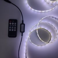 Accessoire d'éclairage de bande LED de couleur unique avec gradateur à distance tactile 14 touches et contrôleur 12V certifié ROHS
