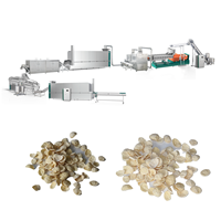 Nouvelle ligne de production de protéines de riz automatique, extrudeuse de nuggets de soja, hachoir à viande, protéines de soja texturées, certifiée CE ISO
