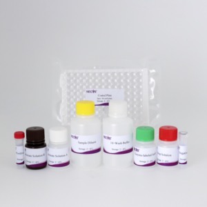 Prv GE <span class=keywords><strong>IgG</strong></span> kháng thể <span class=keywords><strong>Elisa</strong></span> <span class=keywords><strong>Kit</strong></span> kiểm tra-Chặn <span class=keywords><strong>Elisa</strong></span> cho lợn pseudorabies virus phát hiện, CE/oie compliant - Product Image 6