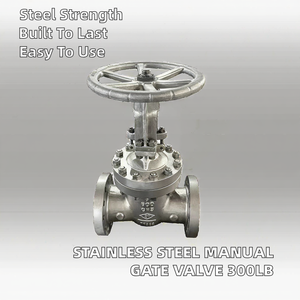 Vanne à opercule JITAI API JIS en acier inoxydable 304/316L, à bride, grand diamètre, ANSI, à joint rigide, manuelle, pour eau, 300LB, garantie 1 an, moyenne pression - Product Image 2