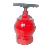 Wanlian SNZ65 2.5 Inch DN65 Rotary Cast Iron Indoor Fire Hydrant Peralatan Pemadam Kebakaran Dibuat di Fujian Cina