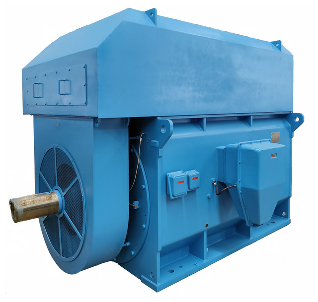 2400 3000 3300 4160 6000 6600 10000 11000 13800 V Medium Voltage Cement Mill AC Slip Ring Wound Rotor Motors