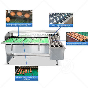 Trieuse mécanique d'œufs ORME, petite machine de triage et de calibrage des œufs de poule - Product Image 2
