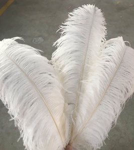 Plumes d'<span class=keywords><strong>autruche</strong></span> largement utilisées pour les centres de table de mariage Plume d'<span class=keywords><strong>autruche</strong></span> naturelle assez moelleuse - Product Image 1