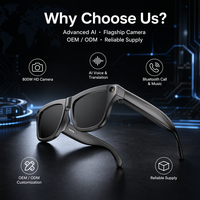 Gafas Inteligentes con IA, Control por Voz Inalámbrico, Botón de Encendido, Cámara de 100MP y 8MP, Captura de Fotos y Vídeos, Traducción en Tiempo Real