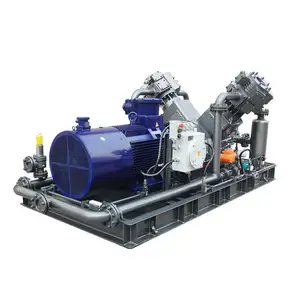 Custom Special Gas Compressor Carbon Monoxide Nitrogen Generator Gas Compressor for Nitrogen Pressurization