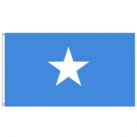 Drapeau de la Somalie personnalisé imprimé recto-verso 3x5 pieds, personnalisable pour tous les drapeaux nationaux et les drapeaux de présentation.