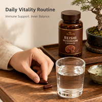 Capsules d'ashwagandha de qualité alimentaire OEM, vente en gros, capsules d'extrait d'ashwagandha en vrac