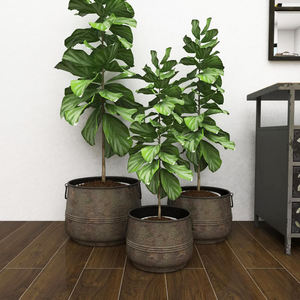 Macetero Metálico Galvanizado Hecho a Mano, Nuevo Estilo 2026, Último Modelo para Hogares, Hoteles y Restaurantes - Product Image 2