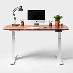 Modern Electric Computer Standing Exercise Desk Height Adjustable Desk Stylish Standing Desk