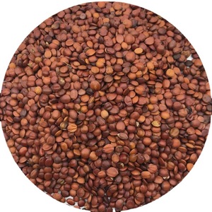 สมุนไพรจีน เครื่องเทศธรรมชาติ แห้ง ดิบ <span class=keywords><strong>เมล็ด</strong></span>เซเมนซีจิฟิสสปิโนซา (เซเมนซวนจ้าวเหริน) <span class=keywords><strong>เมล็ด</strong></span><span class=keywords><strong>พุทรา</strong></span><span class=keywords><strong>จีน</strong></span>ป่า - Product Image 3