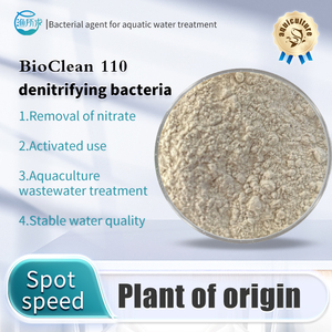 BC110 водные пробиотики денитрифицирующие Bacillus Pumilus микробные бактерии для удаления органических загрязняющих веществ аквакультура - Product Image 3