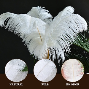 Plumas de Avestruz Teñidas Personalizadas al por Mayor, de 15-65 cm, <span class=keywords><strong>para</strong></span> Centros de Mesa de Boda, Fiestas, Carnavales, Disfraces, Decoración del <span class=keywords><strong>Hogar</strong></span> - Product Image 1