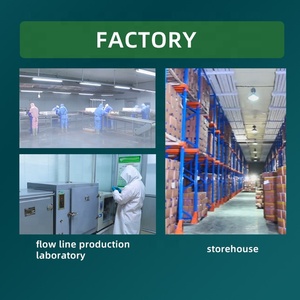 Sơn Đông Đông Lạnh Tươi Hành Tây Xanh IQF Đông Lạnh Hành Tây Mùa Xuân - Product Image 2