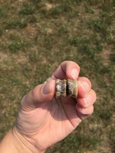 कोरल बेज जेड डबल फ्लैारेड कॉन्टेक्स पत्थर ठोस कान प्लग एक्सपेंंडर 18 pcs/सेट 2g-<span class=keywords><strong>1</strong></span> गेज बॉडी को शादी के लिए गहने - Product Image 6