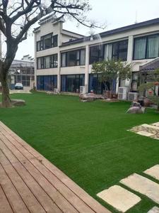 Césped Artificial SSGRASS de 5/6 Colores Personalizable para Jardinería, Altura de Pelo de 45 mm, Duradero para Uso en Exteriores, Popular en Canadá y Estados Unidos - Product Image 5