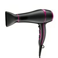 Sèche-cheveux ionique professionnel pour salon et barbier avec diffuseur, moteur DC 2200W, design compact pour usage commercial, camping-car et hôtel