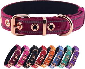 Yunleparks Collier de chien rembourré en néoprène, collier en nylon pour petits et grands chiens, robuste avec boucle en métal, réfléchissant (grand, - Product Image 1