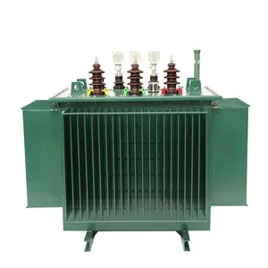 10KV Oil immersed transformer 25KVA~2500KVA full encapsulated distribution transformer S11 S13 mv hv transformers