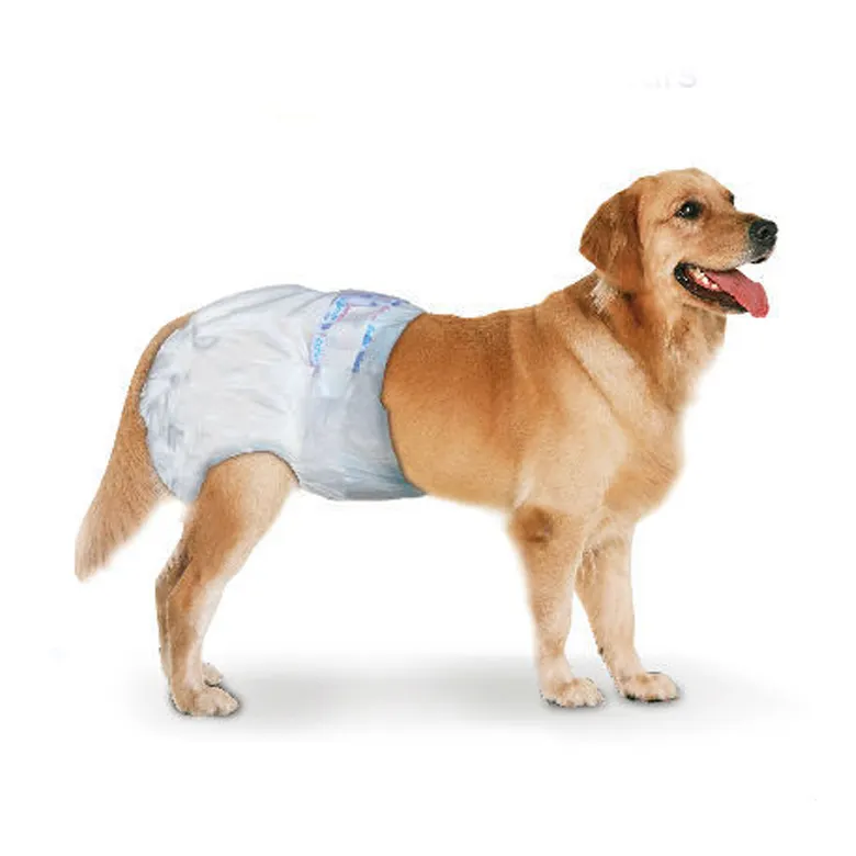 Tamanho personalizado Boa qualidade Animal Nurse Nappy Preço barato Fralda descartável Pet para cachorro da China