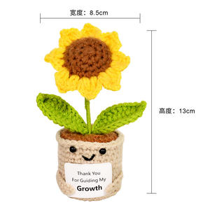 Mini Flor de Ganchillo Divertida y Positiva 2026, Regalo Emocional e Inspirador, Regalos de Agradecimiento para Mamá, Maestra, Hermana, Compañeras de Trabajo, Jefas - Product Image 6