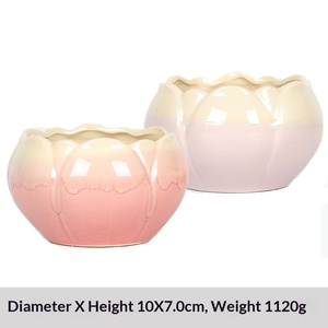 Vaso Minimalista in Ceramica <span class=keywords><strong>per</strong></span> Piante Grasse a Forma di Loto, Traspirante, in <span class=keywords><strong>Gres</strong></span>, <span class=keywords><strong>per</strong></span> Balcone, Verde, Vendita all'Ingrosso - Product Image 3