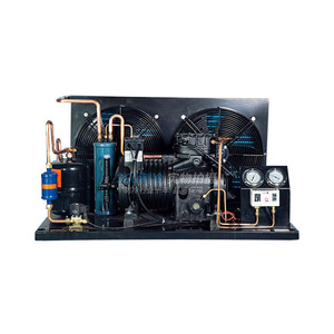 Unité de stockage frigorifique Shenyang Copeland 10Hp refroidie par air et eau BFS101, ensemble complet pour immeuble de bureaux, R134a 380V - Product Image 2