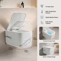 Ensemble de toilettes en céramique à chasse d'eau super puissante, sanitaires de luxe, toilettes murales encastrées pour salle de bain, vente en gros