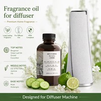 Diffuseur d'arômes intelligent tendance 2026, diffuseur d'huiles essentielles rechargeable, contrôle Bluetooth, atomiseur à air froid, minuterie pour la maison et le bureau