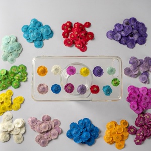 Bolsa de 12 unids/lote - Product Image 2