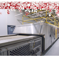 Ligne de production automatique de biscuits croustillants, machine de fabrication de biscuits à vendre
