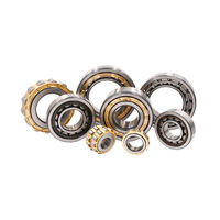 Roulement à rouleaux cylindriques NU304 NU305 NU306 NU307 NU308 NU309 NU310 NU311 NU312 NU313 en acier chromé pour réducteurs, pompes, OEM